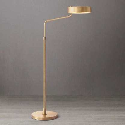 Adjustable Steel Floor Lamp